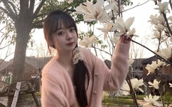 2019一本大道香蕉大在线动漫